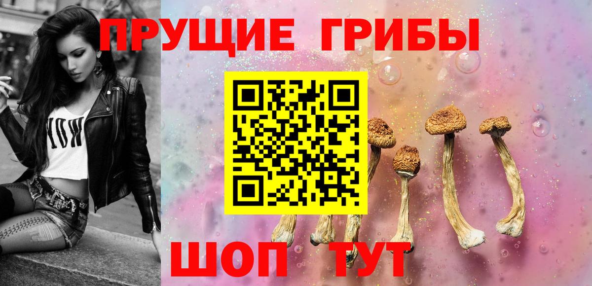 Галлюциногенные грибы Psilocybine cubensis Волгодонск