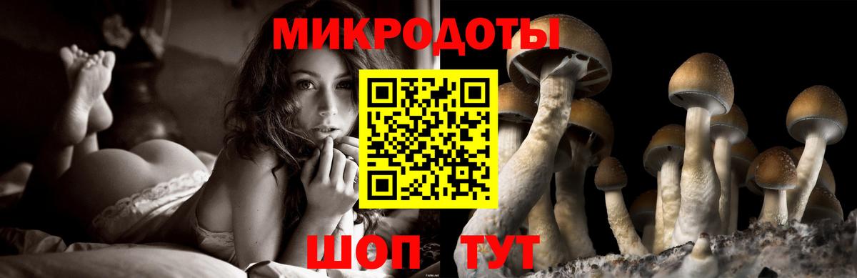 купить закладку  Псилоцибиновые грибы Magic Shrooms  Вход с VPN  Волгодонск 